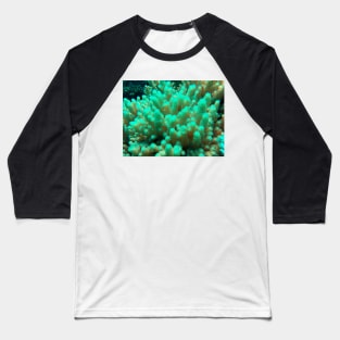 soft coral in the reef Baseball T-Shirt